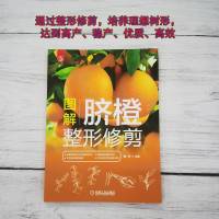 [粉象优品] 图解脐橙修剪 果树种植(介绍了修剪的时期和方法 不同类型树的修剪 存在的主要问题及对策等知识点) 9