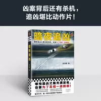 暗夜追凶