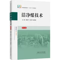 洁净煤技术