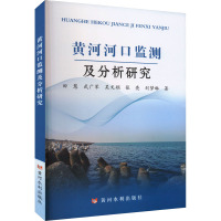 黄河河口监测及分析研究