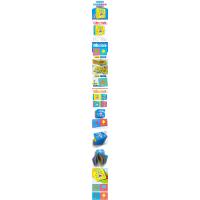 哆啦A梦认知启蒙泡泡书-认形状