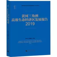 黄河三角洲高效生态经济区发展报告(2019)