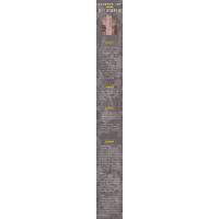 日本战国三部曲之尾声:德川家康时代