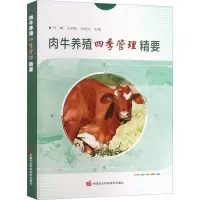 肉牛养殖四季管理精要