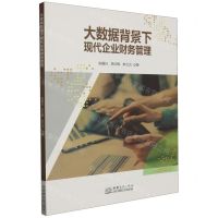 [N]大数据背景下现代企业财务管理-9787510343476