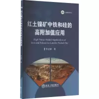 红土镍矿中铁和硅的高附加值应用