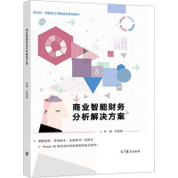 商业智能财务分析解决方案