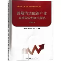 西藏清洁能源产业高质量发展研究报告(2021)