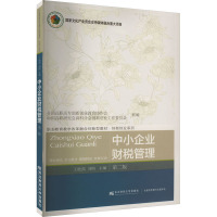 中小企业财税管理 第2版