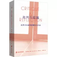 批判与超越:反思文化研究的理论与方法
