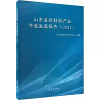 山东省新材料产业年度发展报告(2021)