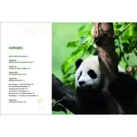 熊猫的秘密(英)