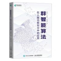 [N]群智能算法在人脑功能划分中的应用-9787115609748