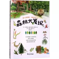 森林大发现