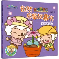 会开花的石头