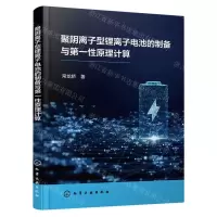 [N]聚阴离子型锂离子电池的制备与第一性原理计算-9787122438720