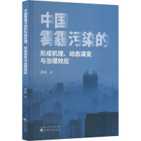 中国雾霾污染的形成机理、动态演变与治理效应