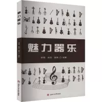 魅力器乐
