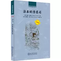 汤姆的许愿石