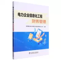 [N]电力企业信息化工程财务管理-9787519874919