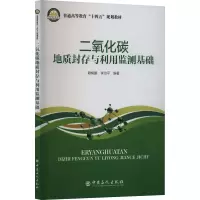 二氧化碳地质封存与利用监测基础