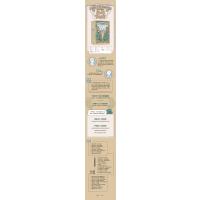 少年世界史·古代(全两册)/陆大鹏