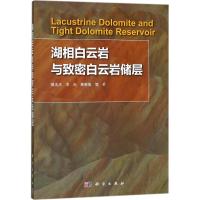 湖相白云岩与致密白云岩储层