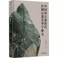 中国旧石器时代打制石器类型学研究