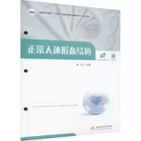 正常人体形态结构