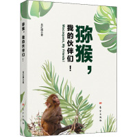 猕猴,我的伙伴们!