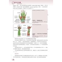 [正版]风湿病超声诊断实用指南 傅先水 吕珂 主译 风湿病超声波诊断指南影像超声医学书籍 科学技术文献出版社