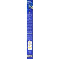 以终为始:数字化时代人才终身成长之道