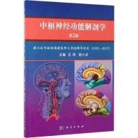 中枢神经系统解剖学