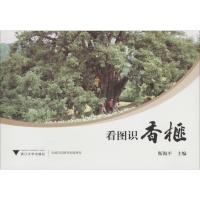 看图识香榧