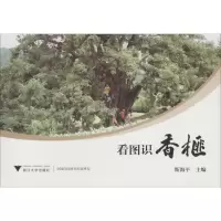 看图识香榧