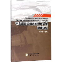 宁东煤田采煤沉陷地质灾害规律研究