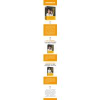 开发一门场景化课程