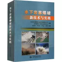 水下岩塞爆破新技术与实践
