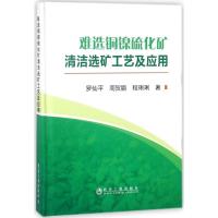 难选铜镍硫化矿清洁选矿工艺及应用