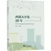 西部大开发20年