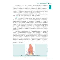 胃肠超声造影实践及图谱