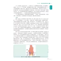 胃肠超声造影实践及图谱