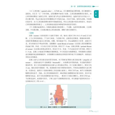 胃肠超声造影实践及图谱