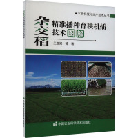 杂交稻精准播种育秧机插技术图解