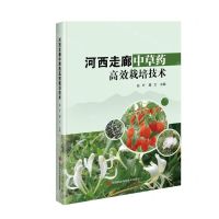 [N]河西走廊中草药高效栽培技术-9787511663429