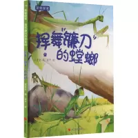 动物探索·超有趣的动物百科:挥舞“镰刀”的螳螂(四色)