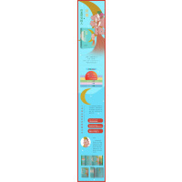 财富,给直觉对的人