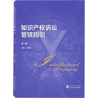 知识产权诉讼管辖指引(第二版)