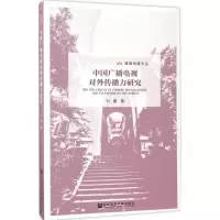 中国广播电视对外传播力研究