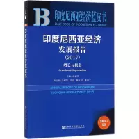 印度尼西亚经济发展报告.2017